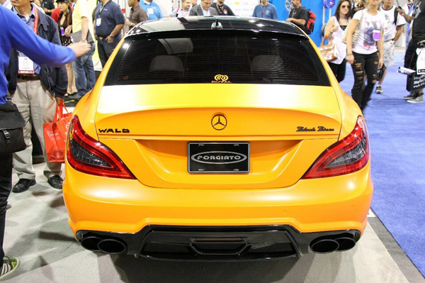 Mercedes-Benz CLS Black Bison  Wald International